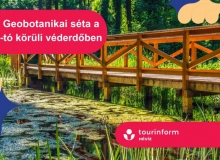 Geobotanikai séta a Hévízi-tó körüli véderdőben