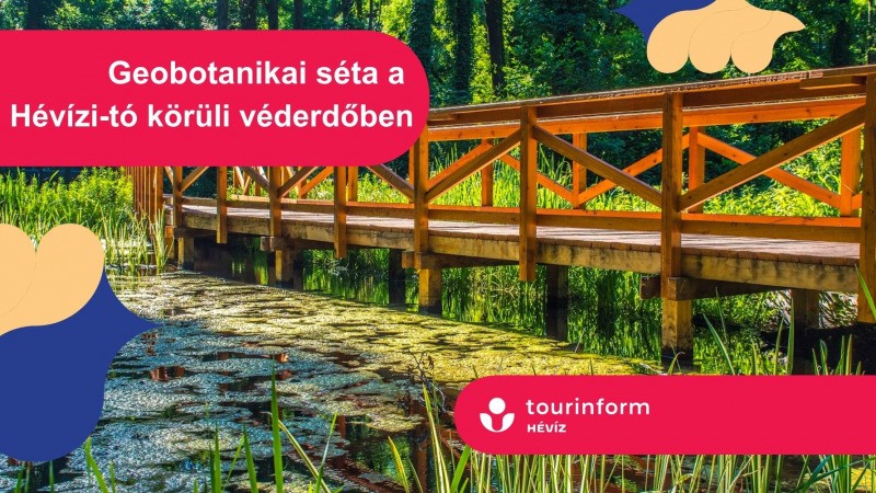 Geobotanikai séta a Hévízi-tó körüli véderdőben Hévíz