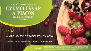 GYÜMÖLCSNAP A PIACON