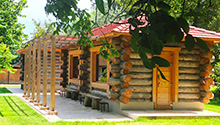 Log saunas