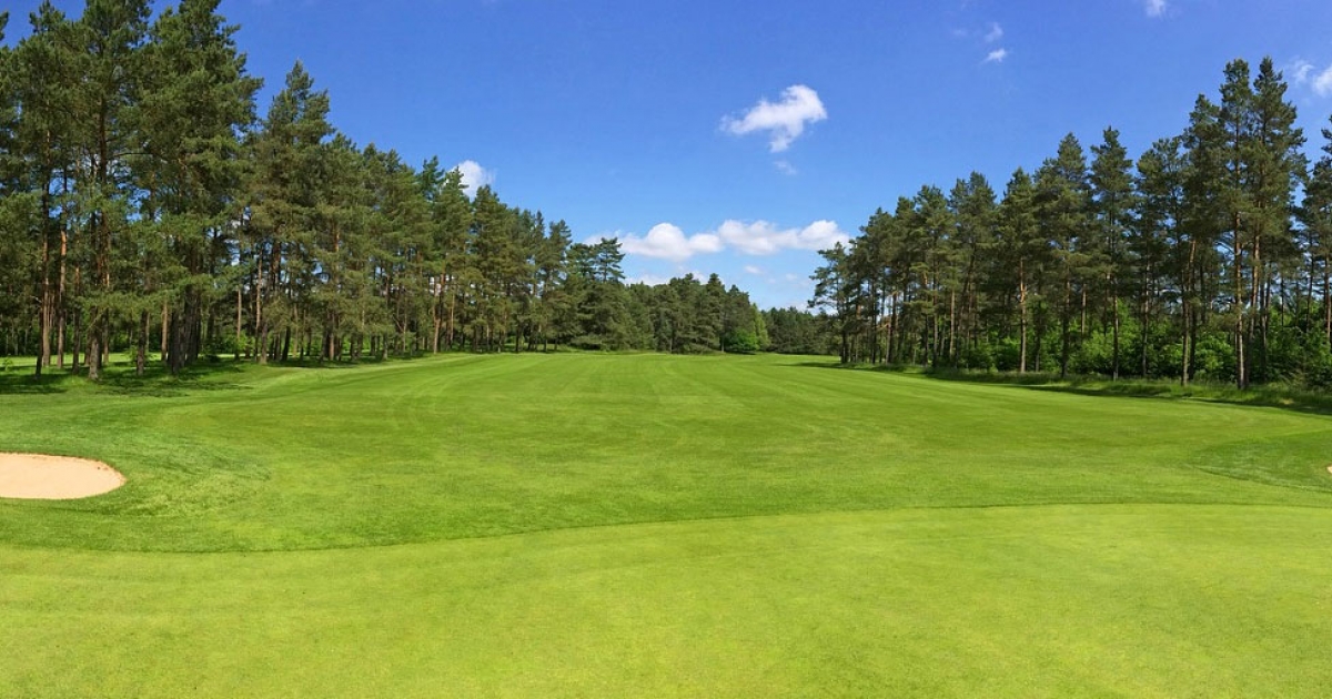 Raven bay. Panorama texture Golf Palace.