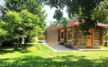 Log saunas