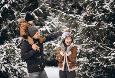 Fabulous winter vacation in Zalacsány 