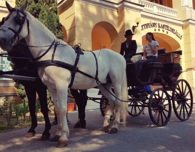 Pentecostal King days Pentecostal King days