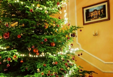 Kellemes Karácsonyi Wellness Batthyány Kastélyszálló